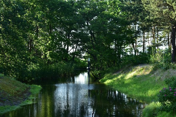 Perdez du ventre avec le jogging